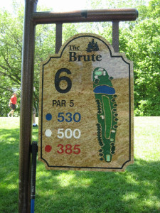 2011_Brute_Large_15